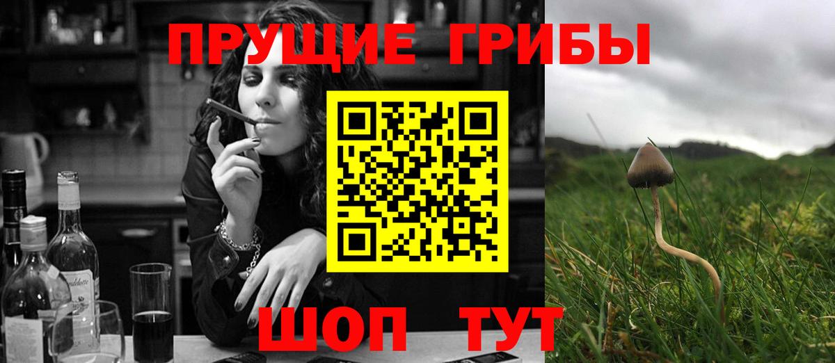 Галлюциногенные грибы прущие грибы Шумерля