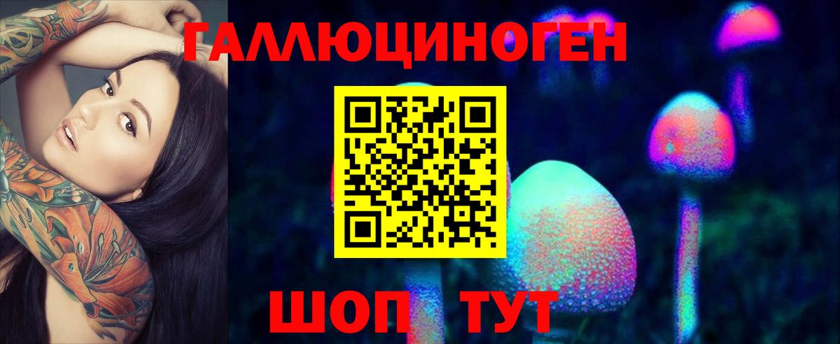 Шумерля  Галлюциногенные грибы Magic Shrooms  Вход с VPN  Псилоцибиновые грибы GOLDEN TEACHER 